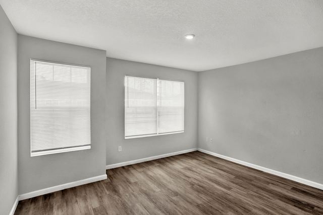 Primary bedroom with two windows